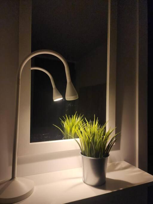 Piso De Diseno Elche Appartement Buitenkant foto